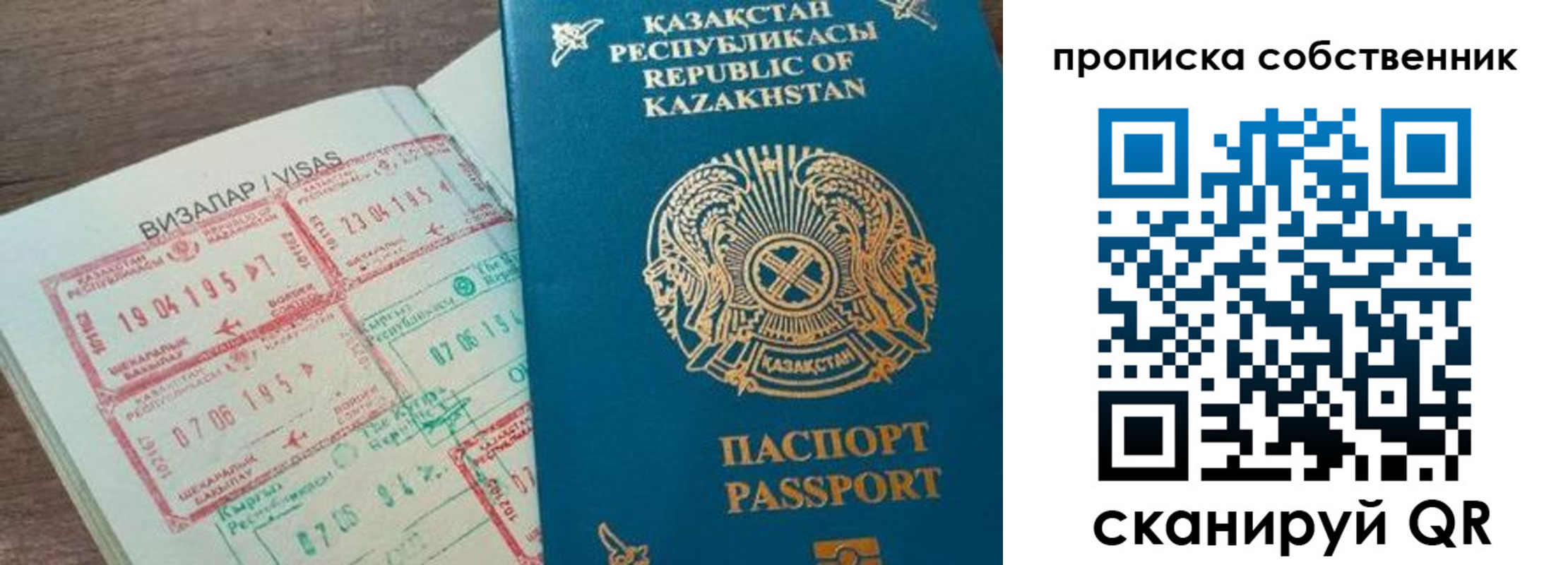прописка гарантия в Чкаловске
