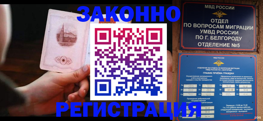 прописка 2025 в Чкаловске